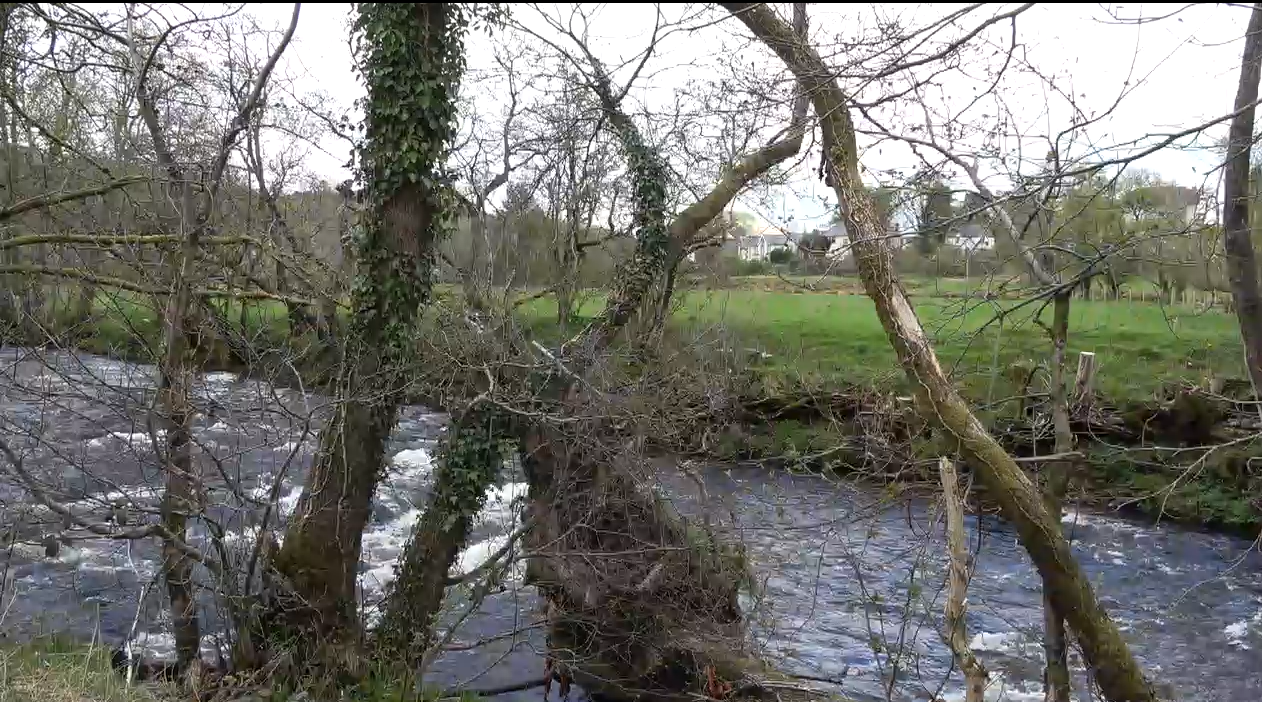 Rivière de Llanwrtyd Wells